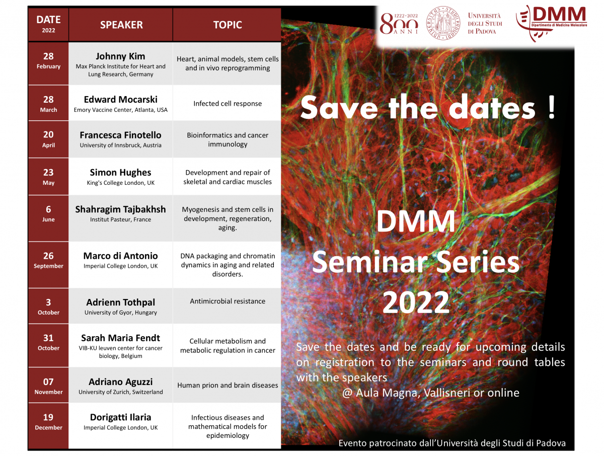 SeminaroDMM-2020-2022