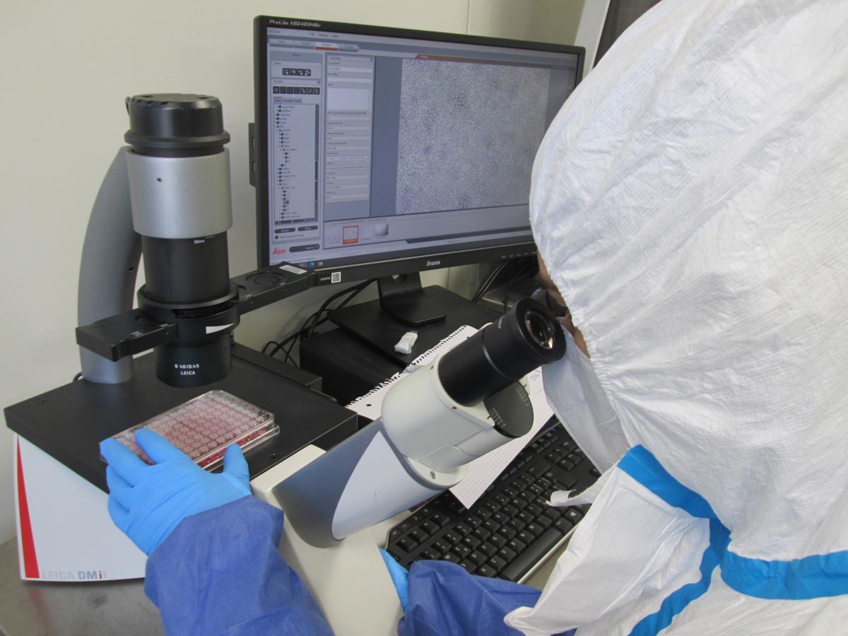 Manganelli Mycolab DMM