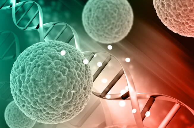 Collegamento a Uno studio dell'Università di Padova sul dna apre la via per nuovi bersagli terapeutici