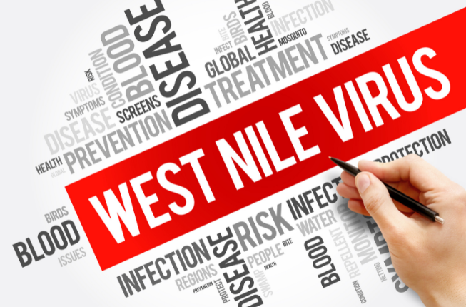 Collegamento a West Nile virus: sintomi, prevenzione e approccio One Health