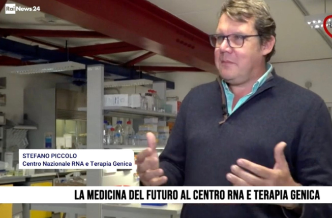 Collegamento a Stefano Piccolo intervistato per la rubrica 'Basta La Salute' di Rainews24 